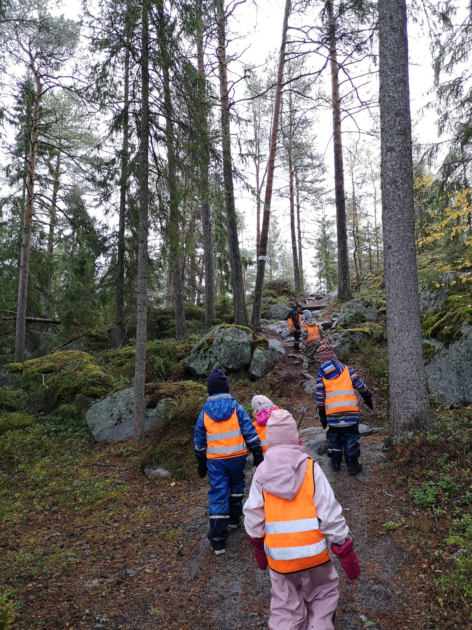 Barn på rad längs med stig i skog