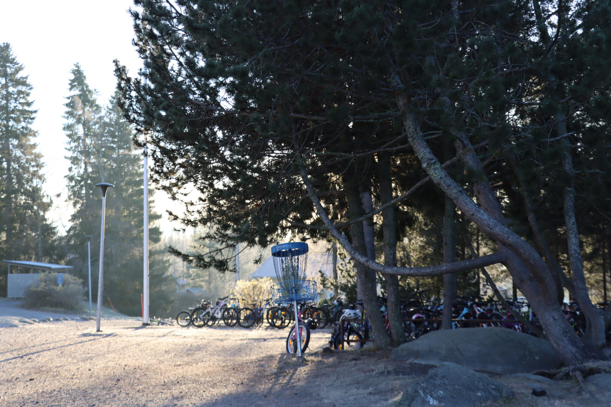 Cyklar och frisbeegolfkorg på skolgård