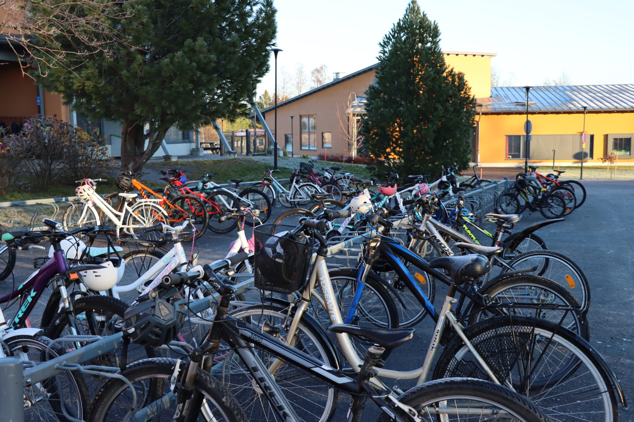 Cyklar i ställning på skolgård