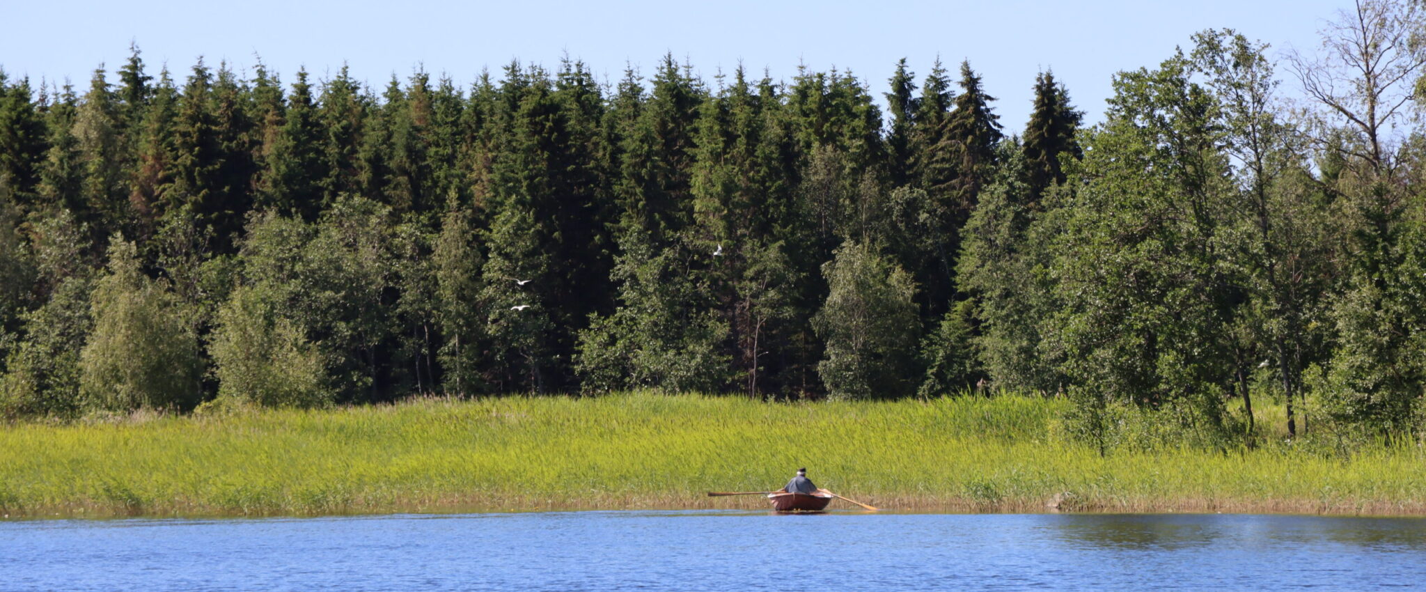 person i roddbåt på sjön intill holme