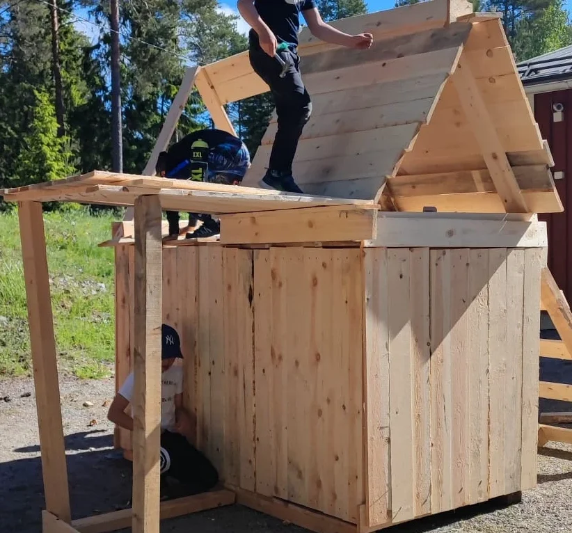 Koja i trä