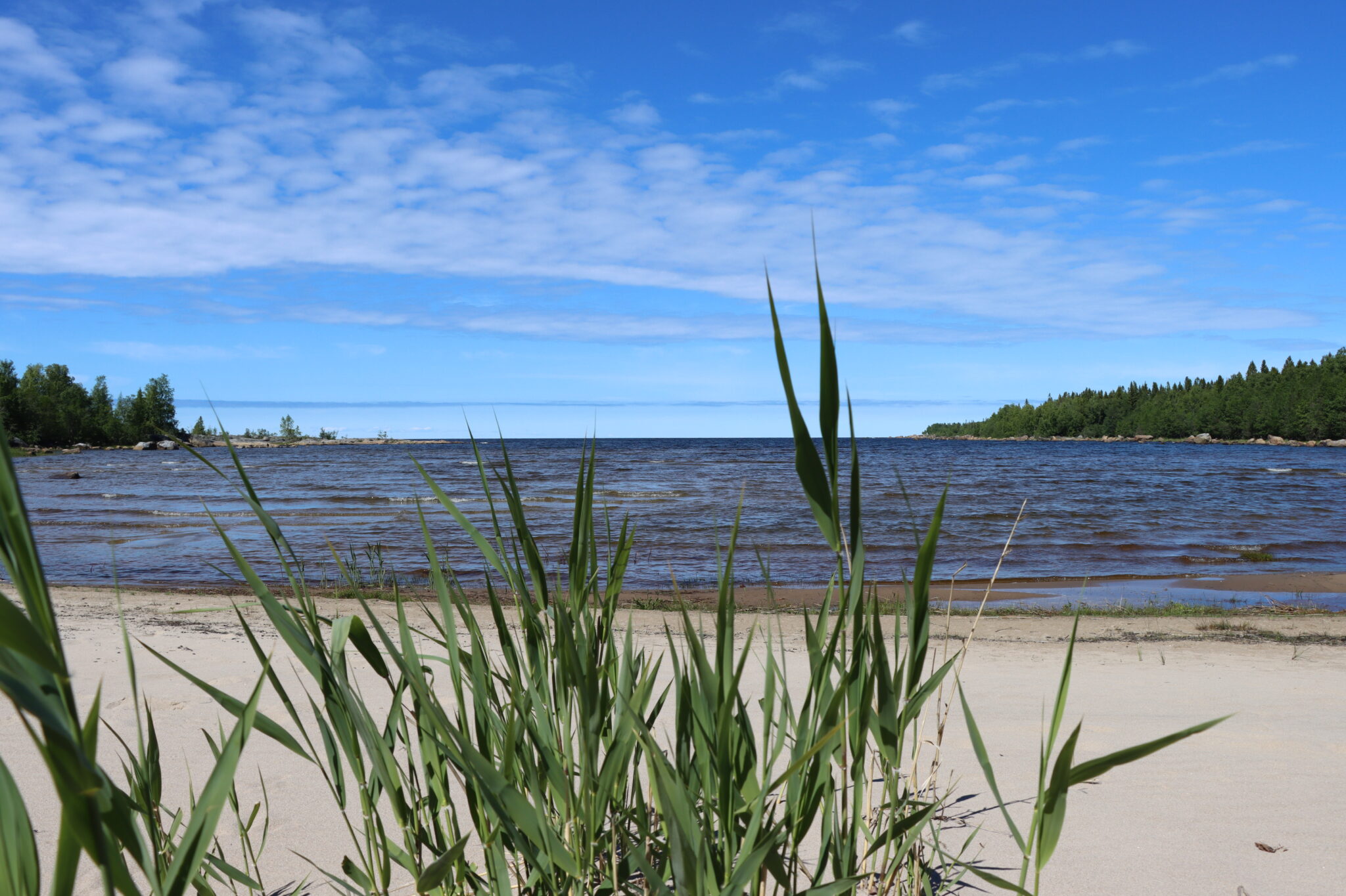 Strand i Larsmo skägård