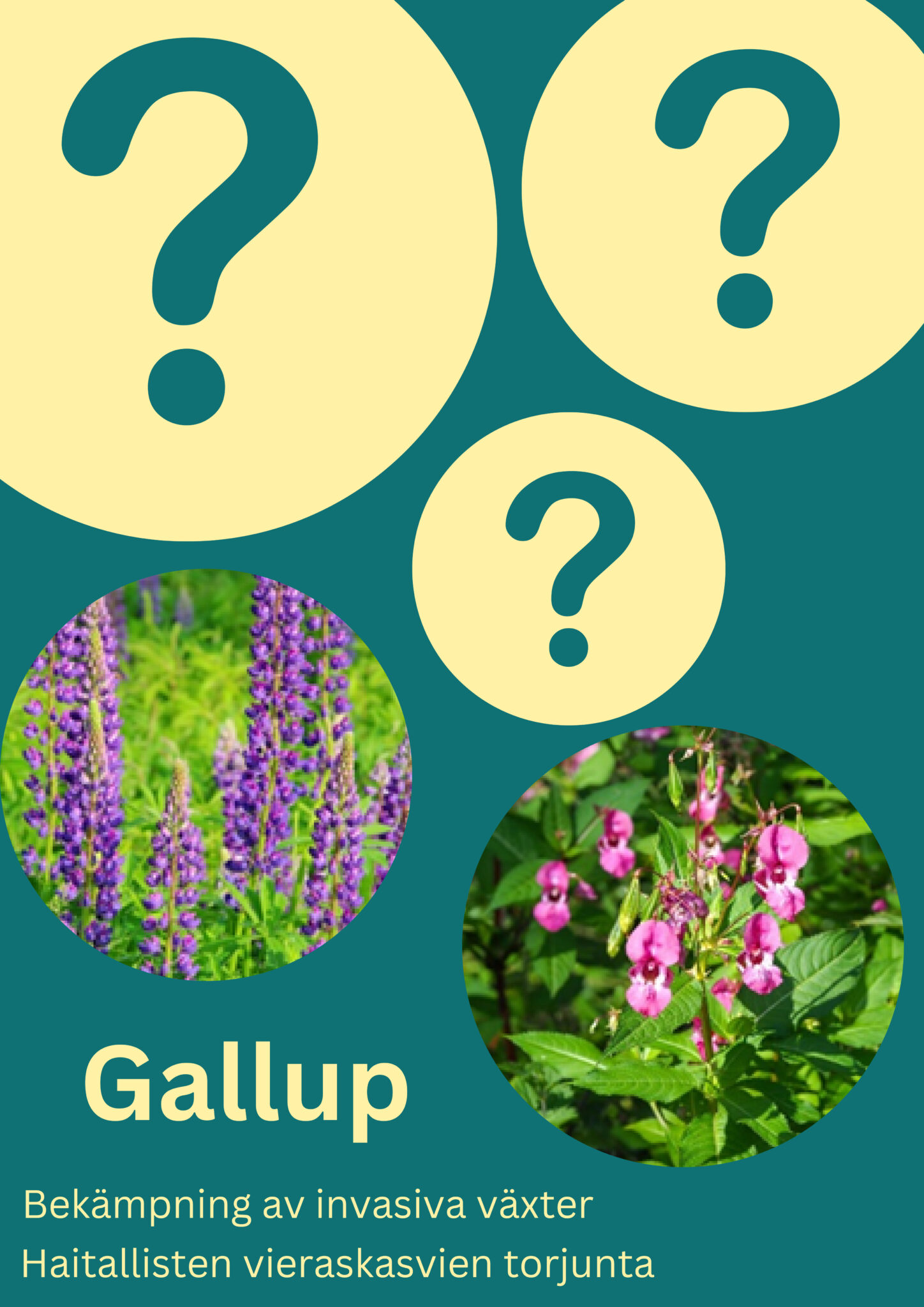 Gallup om invasiva växter