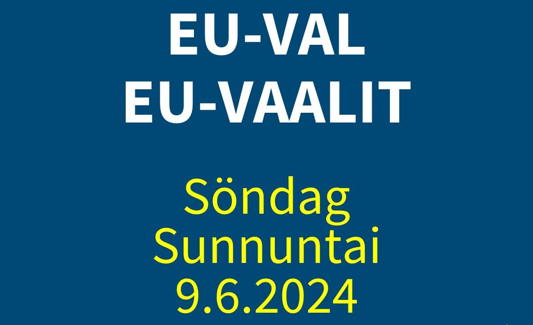 Europarlamenttivaalit 9.6.2024 image