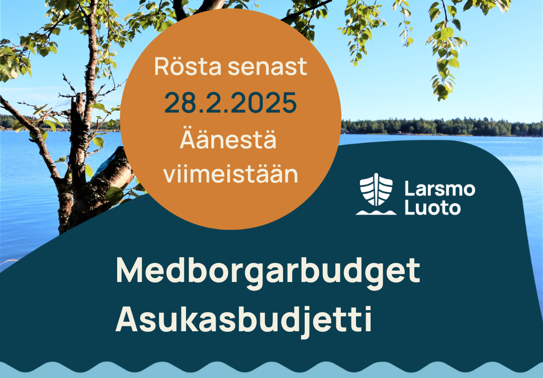 medborgarbudget 2025