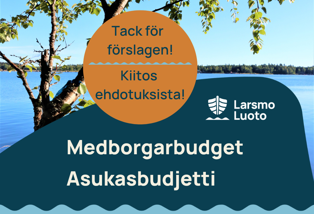 Medborgarbudget 2025