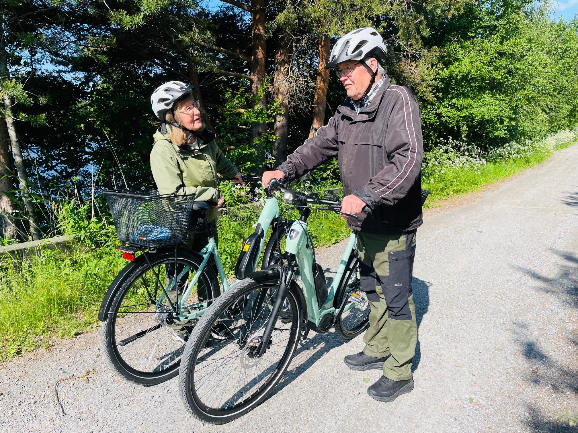 Elcyklar att låna