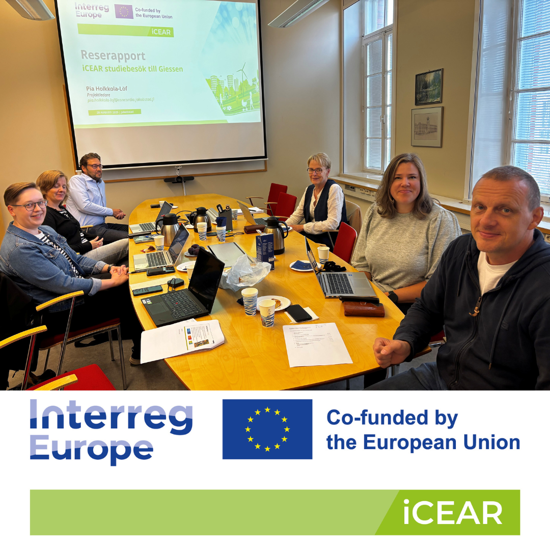 iCEAR styrgruppen