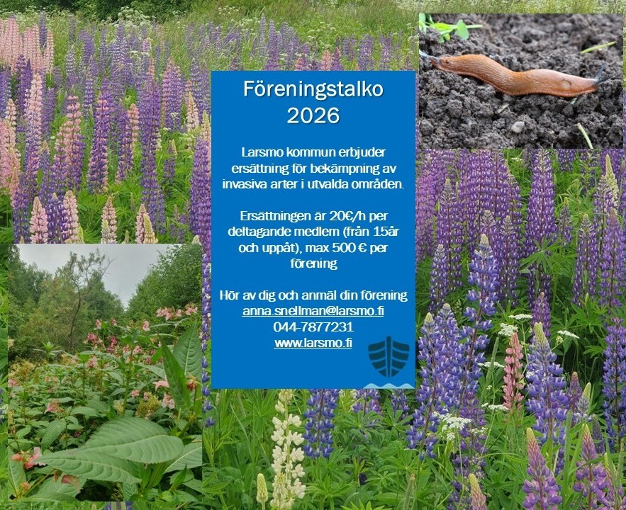 Föreningstalko för bekämpning av invasiva arter