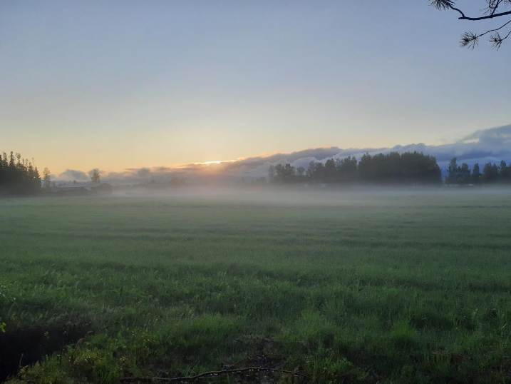 Soluppgång i Risöhäll