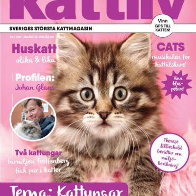 Bild för alternativ nummer 6
